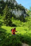 2014-07-05_Laengental-N-Hochweg (525). JPG